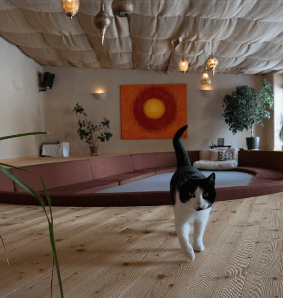 De meditatieruimte in Trimurti: leemwanden in een warme zandtint, een rond zonneschilderij, kussens langs de wand en een geplooid doek onder het plafond